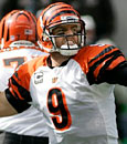 Carson Palmer