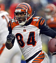 T.J. Houshmandzadeh